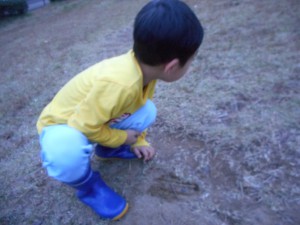 DSCN2371