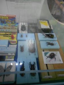 dscn7884