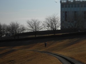 dscn8046
